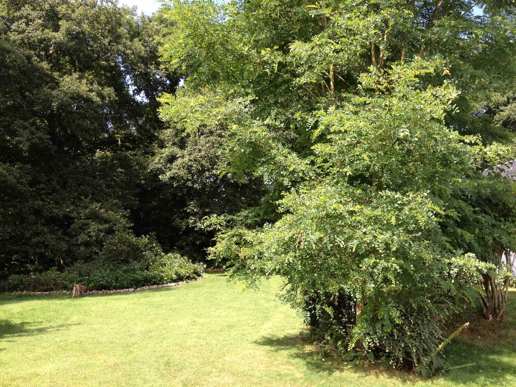 Roulotte Du Petit Bois Villa Theillement Oda fotoğraf